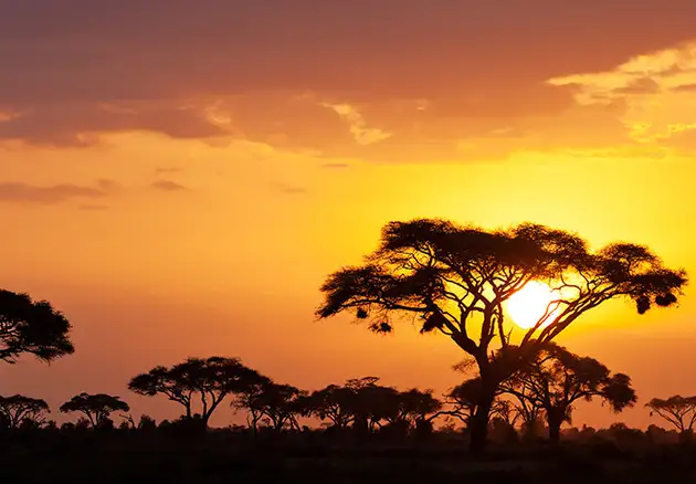 Stunning Cape Town Tour Package 5 Days & 4 Nights