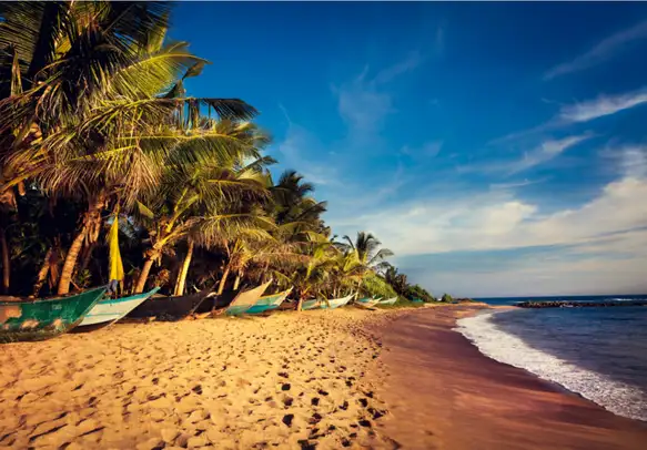 Splendid Sri Lanka Tour Package 4 Days & 3 Nights